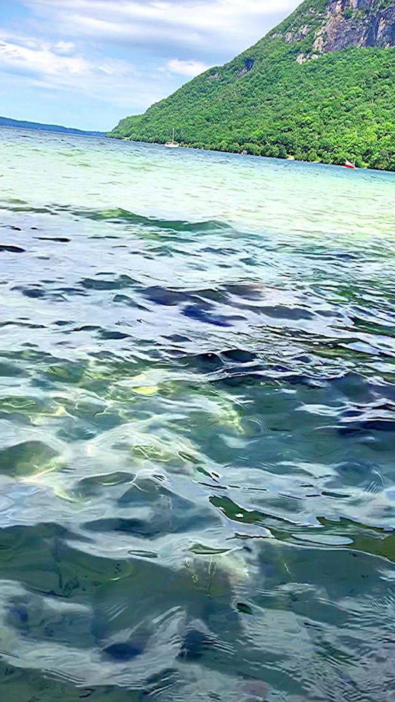 The Cold Water Supports Lake Trout And Landlocked Salmon