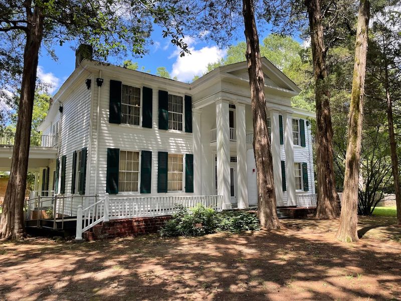 Rowan Oak