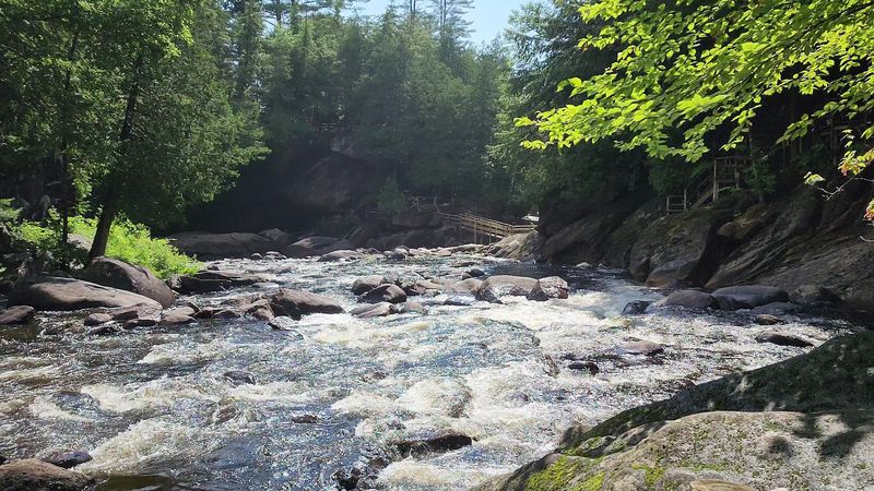 Family Activities That Go Beyond The Trail
