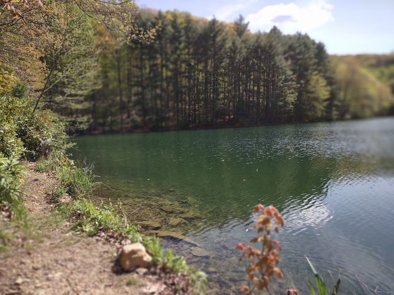 The Nearby Norton Reservoirs