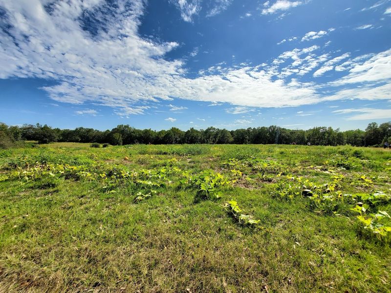 Williams Family Farms