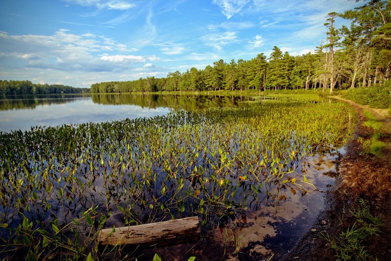The Forested Campground Makes Longer Stays Feel Effortless