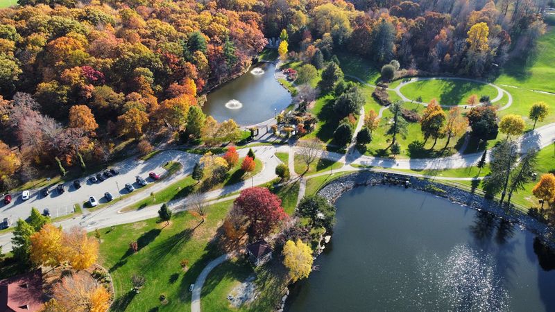 Where Urban Life Meets Expansive Green
