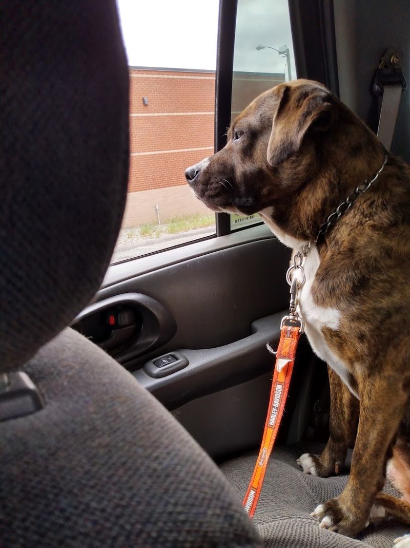 Dakin Humane Society