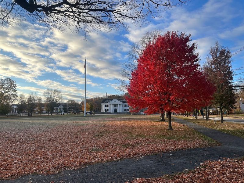 Village Green At Framingham Center