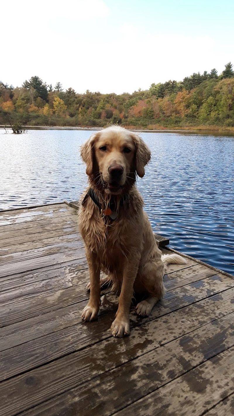 Wompatuck State Park, Hingham