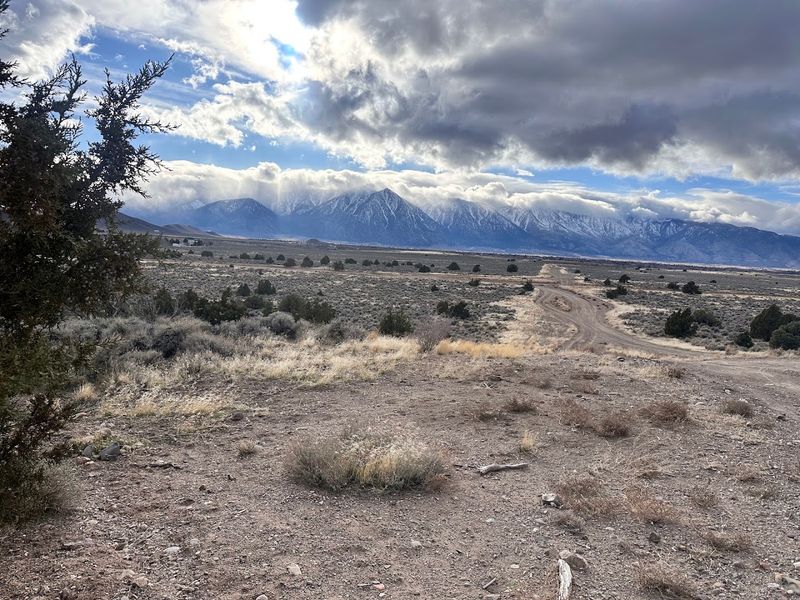 The Carson Valley Setting That Frames Everything