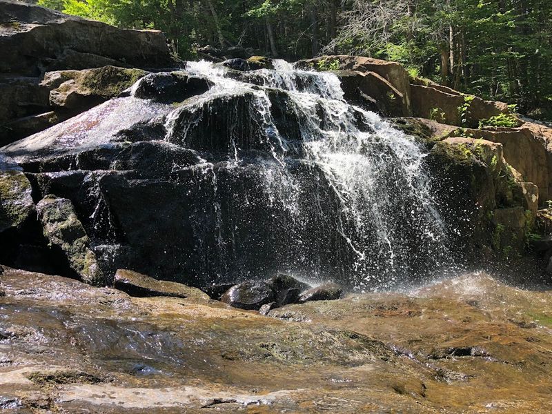 Spring Transforms The Falls Into Something Spectacular