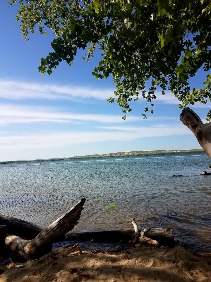 Walleye And Catfish Keep Anglers Coming Back