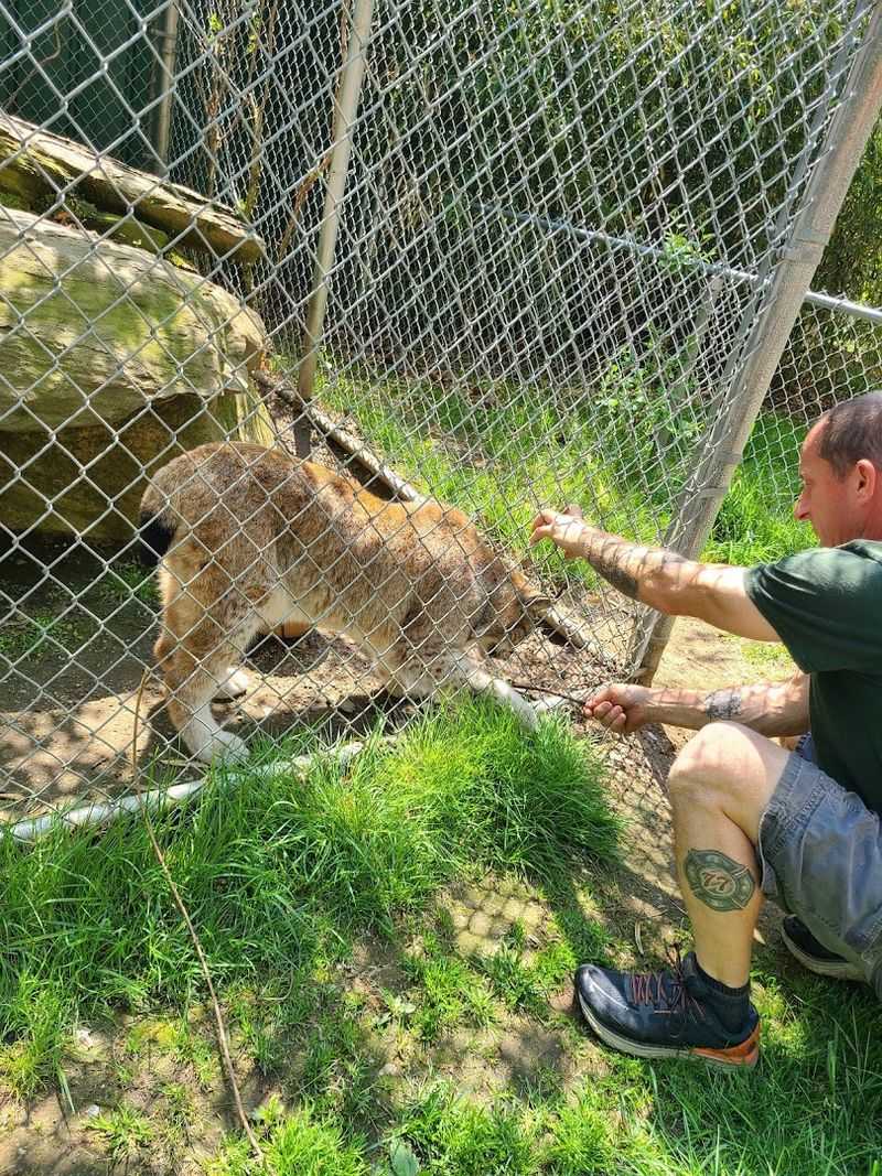 Every Animal Here Gets A Second Chance