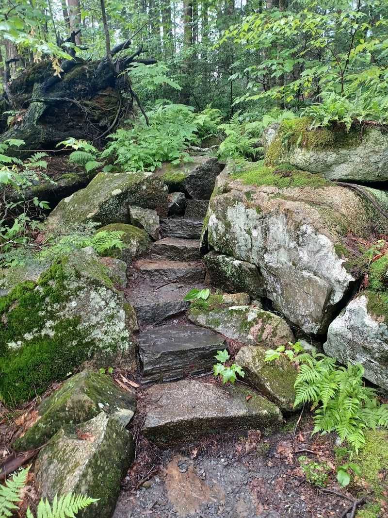 You'll Appreciate Every Step Once You See The View