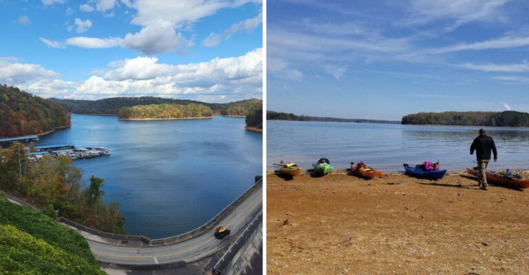 10 Massive Tennessee Lakes Where Water Snakes Share The Shoreline