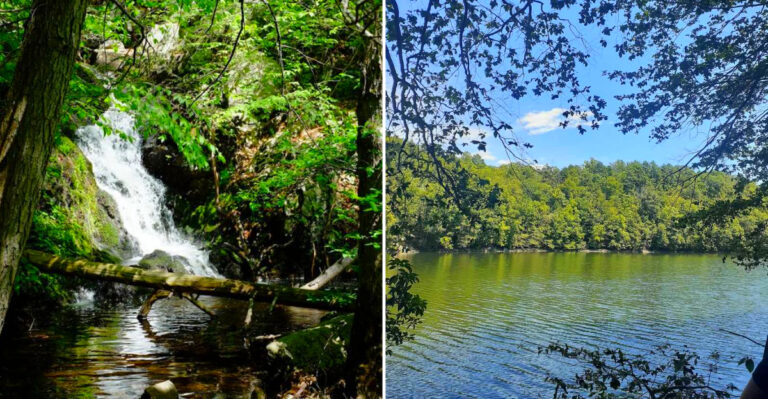 Locals Avoid This Beautiful New York Nature Trail After Dark Because The Wildlife Is Too Active