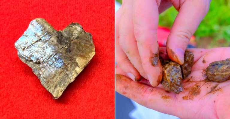 This Wisconsin Dig Site Lets Treasure Hunters Search For Moonstones And Keep What They Find