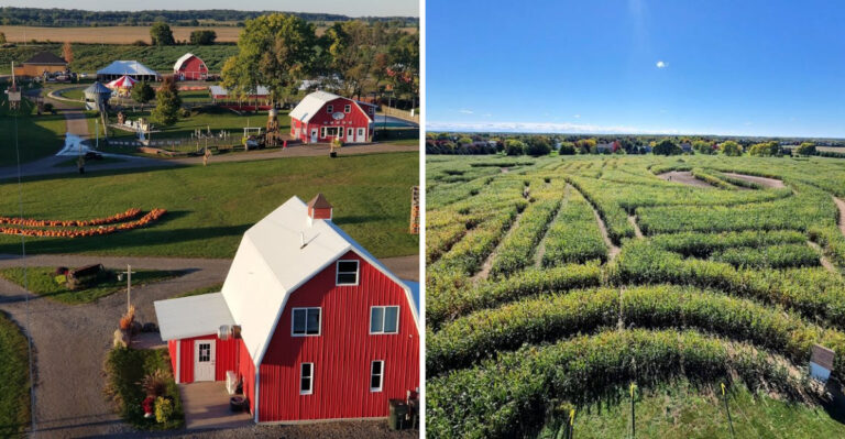 The Giant Illinois Corn Maze Families Have Returned To For More Than 25 Years