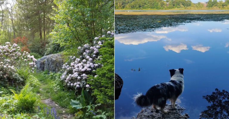 This 59-Acre Massachusetts Place Is A Hidden Oasis With Woodland Trails, Ponds, And Rocks