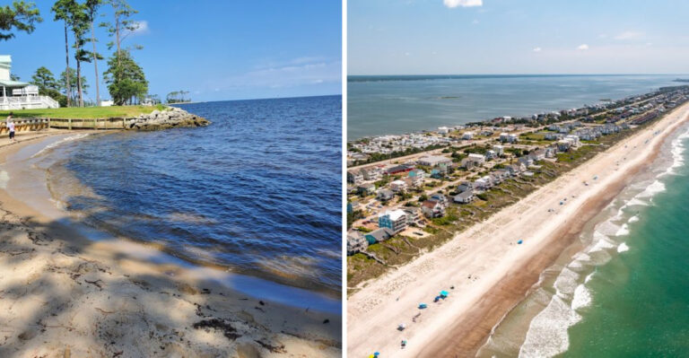 9 North Carolina Beaches And Back Bays Known For Jellyfish During Summer Months