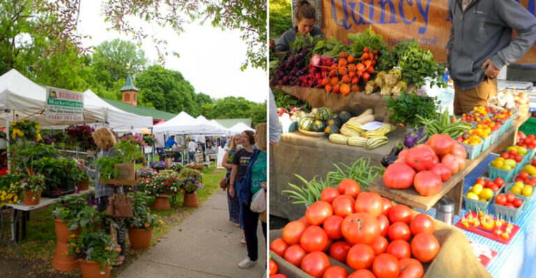 This New York Market Is The Ultimate Stop For Fresh Summer Berries And Sweet Corn