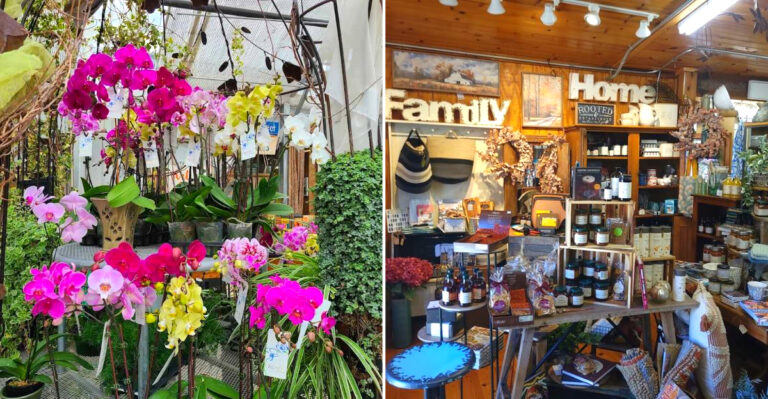 This Enormous Wisconsin Garden Center Has Twenty Greenhouses To Explore