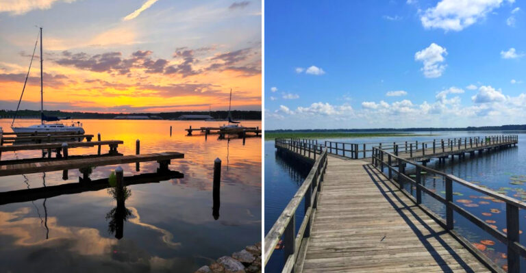 This Massive Mississippi Lake Has 100 Miles Of Shoreline And A Dense Forest Rising Beside It