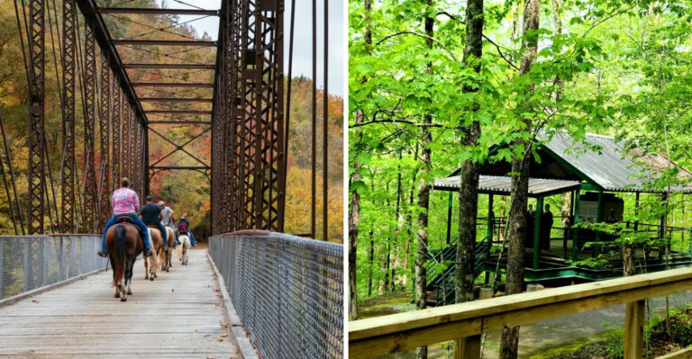 This Remote Tennessee Wilderness Is Stunning But Summer Hikers Should Watch For Ticks