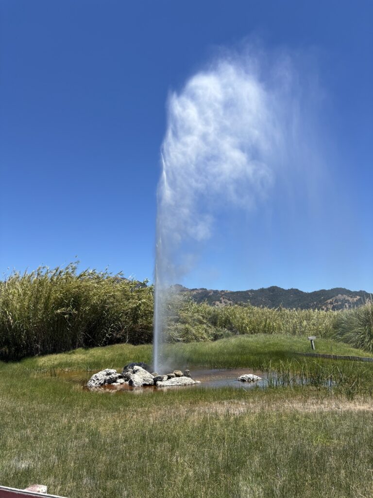 Old Faithful Geyser of California (Eileen Ogintz photo)