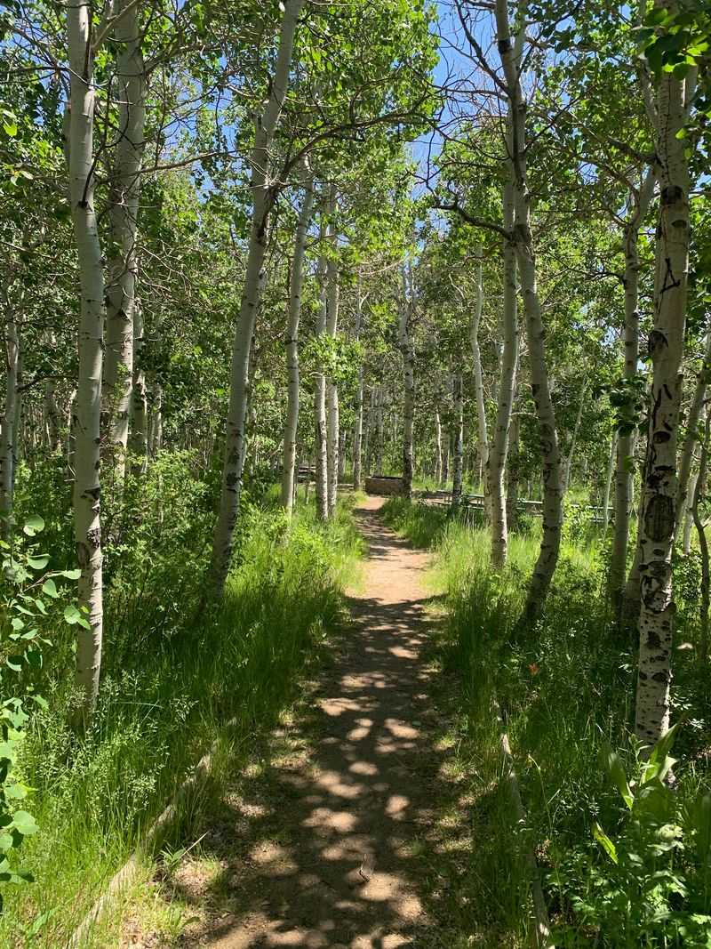 1. Trails And Wildlife Right Outside Your Tent