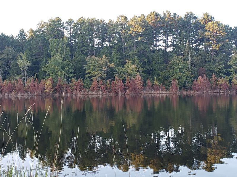 Trace State Park