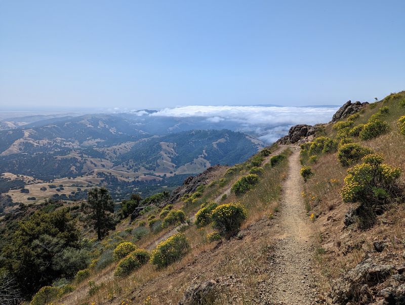 Mount Diablo State Park