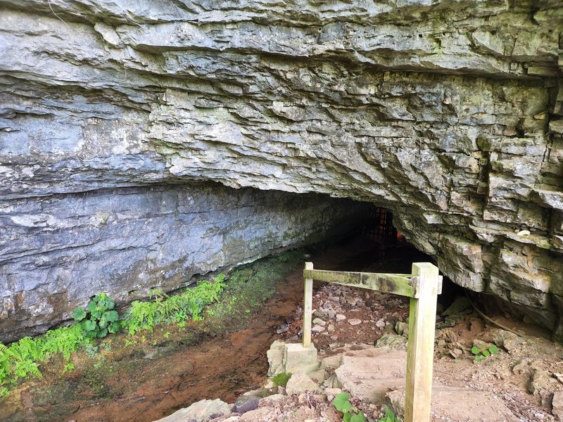 Historic Bell Witch Cave
