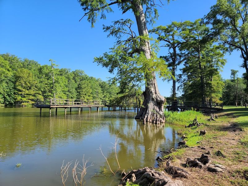 Leroy Percy State Park