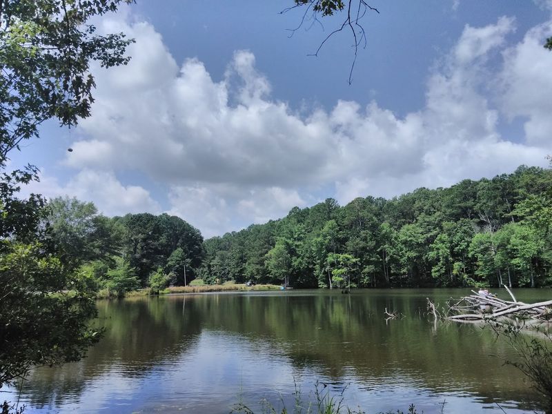 Beaver Lake Neighborhood - Purvis