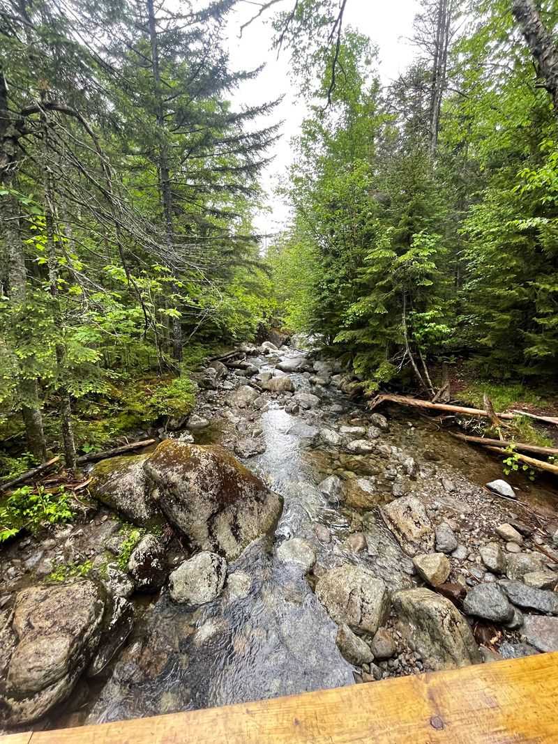 Gill Brook Trail - High Peaks Wilderness, Adirondacks