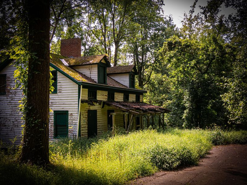 The Deserted Village