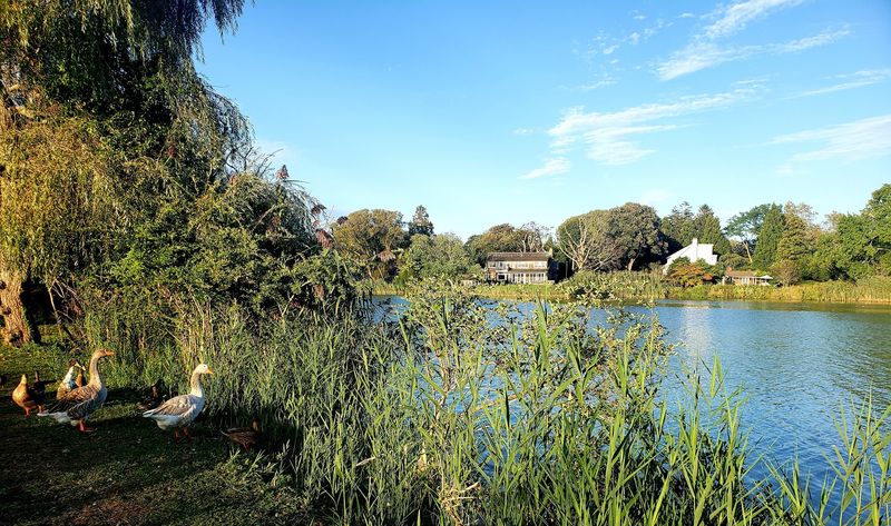 Agawam Lake - Suffolk County
