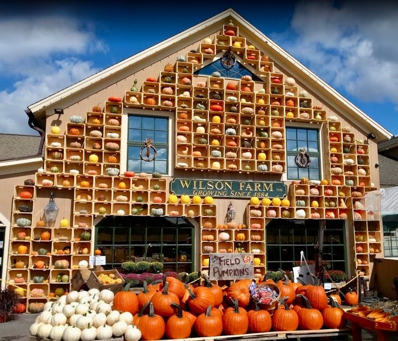 Wilson Farm Inc, Lexington