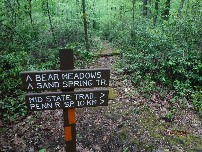 Bear Meadows Natural Area
