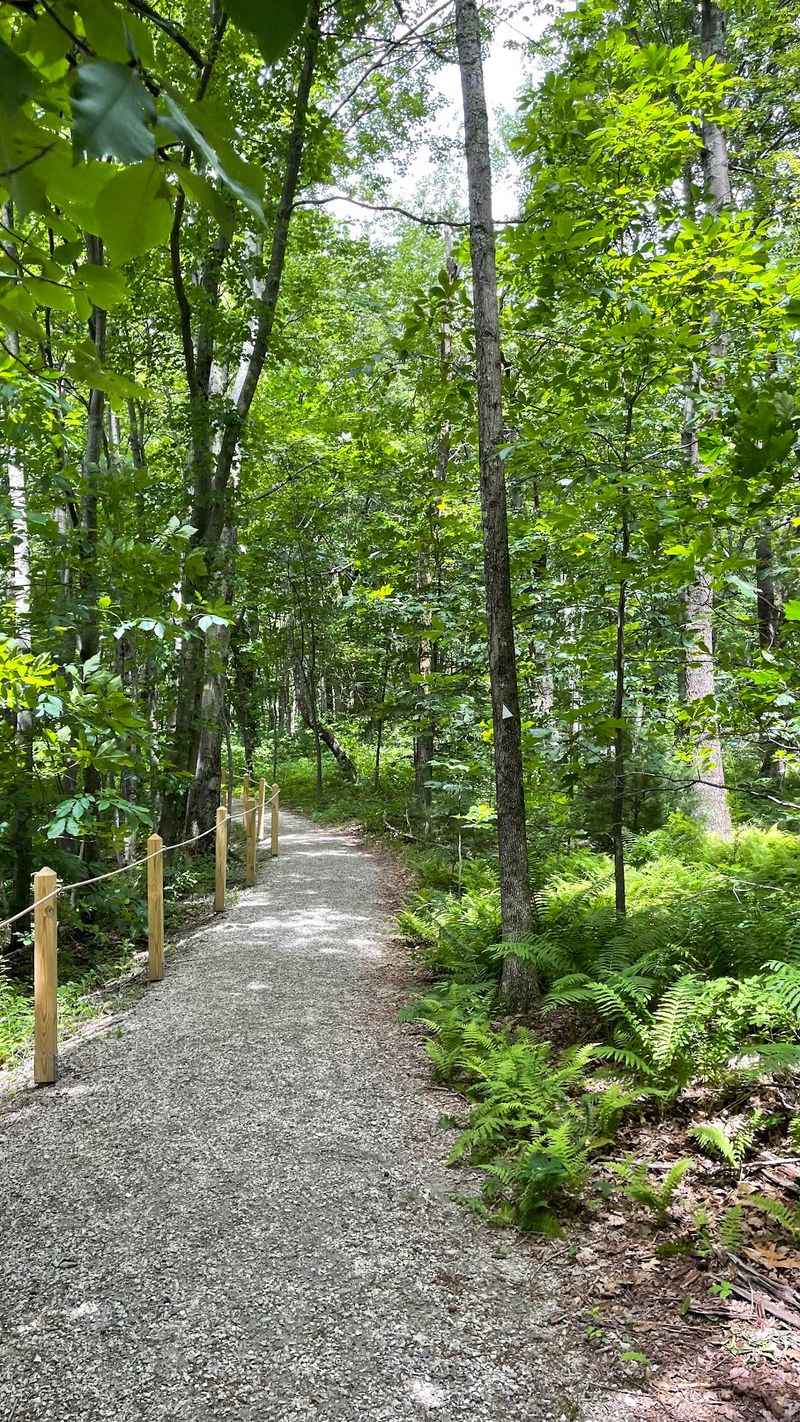 Wellfleet Bay Wildlife Sanctuary, Wellfleet