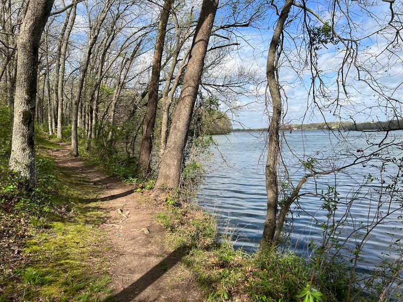 Lake Fayetteville