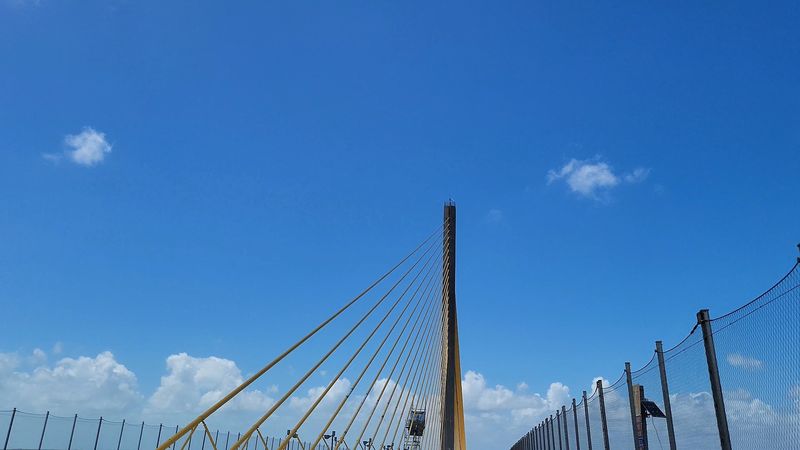 Golden Cables Against A Blue Sky