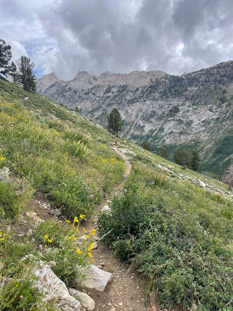 Hiking Trails For Every Type of Adventurer