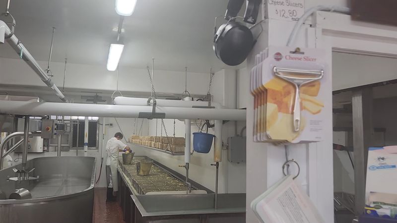 Brick Cheese Made The Old Way, With Actual Bricks