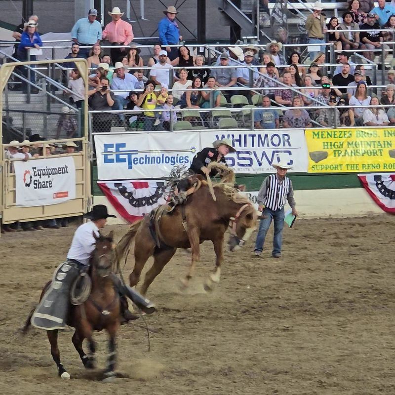 Ten Days Of Professional Competition