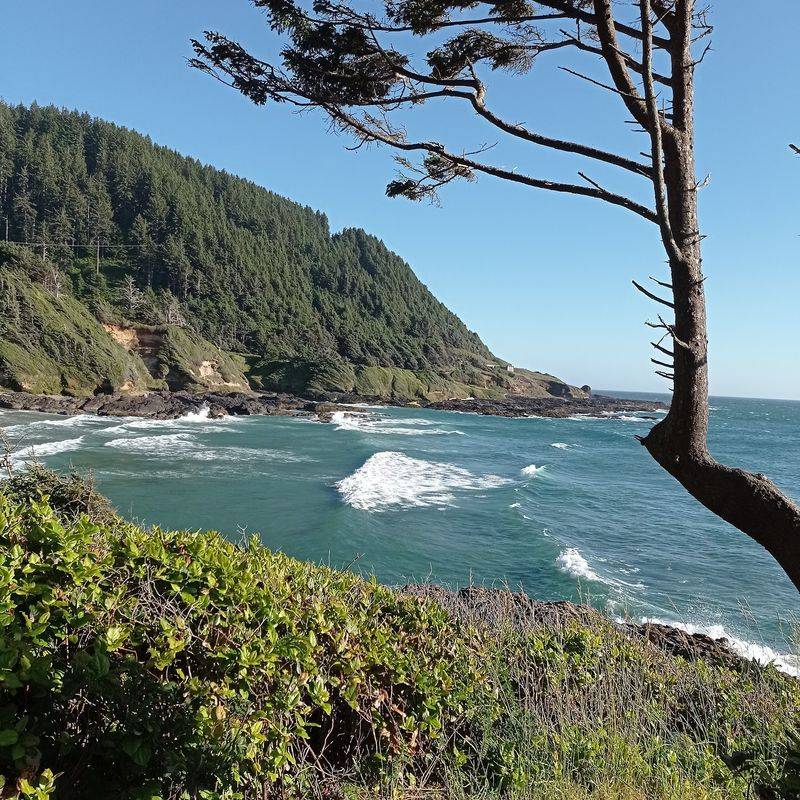 Cape Perpetua Rises Above Everything