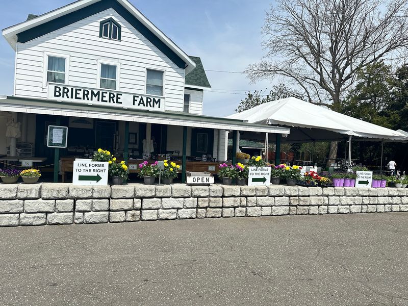 Briermere Farms Waits At The Finish Line