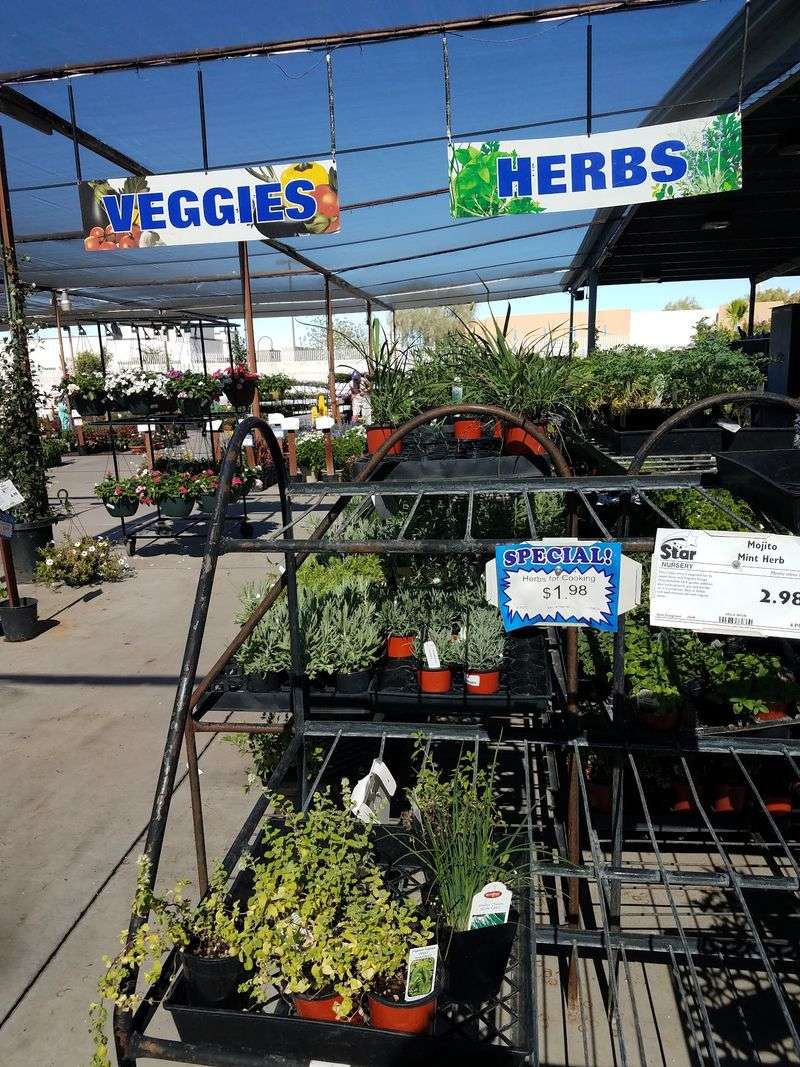 Fresh Herbs That Will Transform Your Kitchen