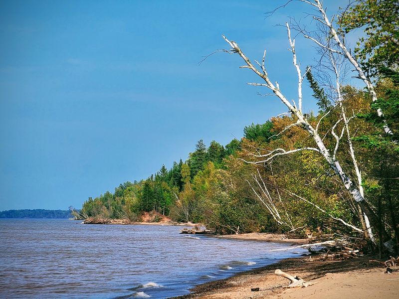 The Shoreline Experience You Will Not Soon Forget