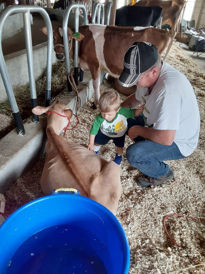 Animal Barns That Keep Kids Coming Back