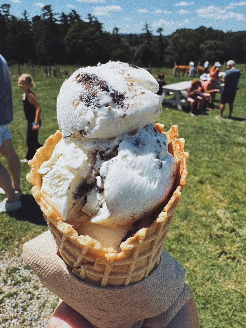 Ice Cream With The Highest Fat Content Legally Possible