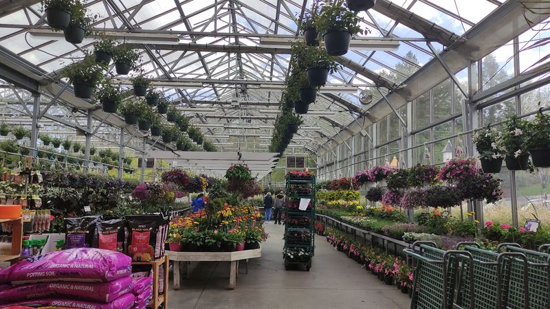 Twelve Thousand Square Feet Of Green Wonder